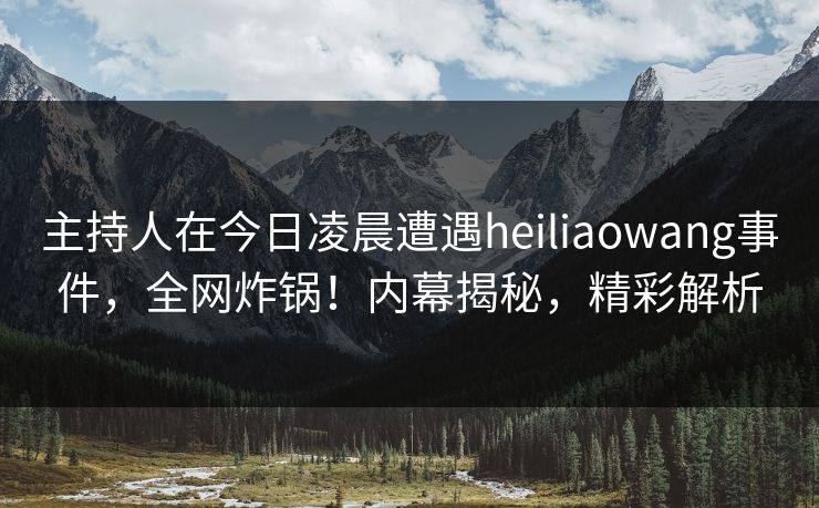 主持人在今日凌晨遭遇heiliaowang事件，全网炸锅！内幕揭秘，精彩解析