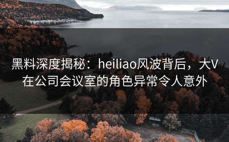 黑料深度揭秘：heiliao风波背后，大V在公司会议室的角色异常令人意外