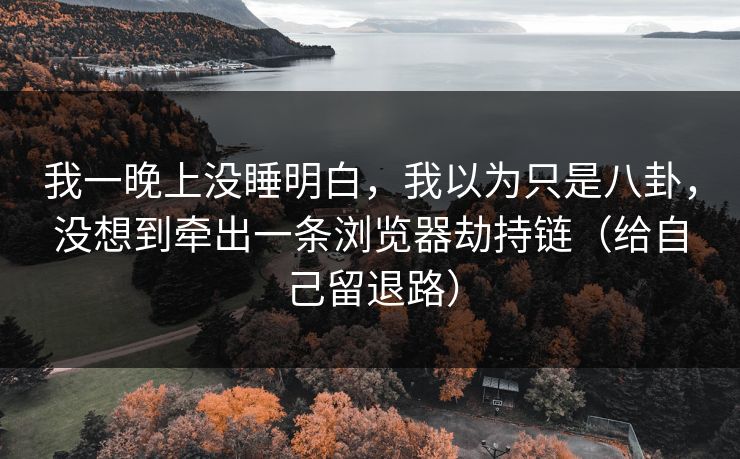 我一晚上没睡明白，我以为只是八卦，没想到牵出一条浏览器劫持链（给自己留退路）